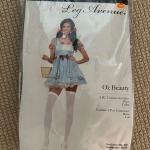 New Adult Dorothy Wizard of Oz Costume